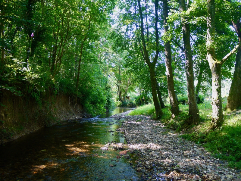 Sidbury Mill